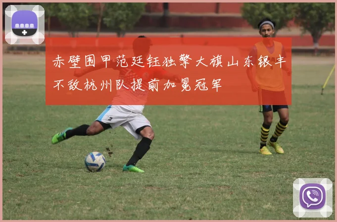 赤壁围甲范廷钰独擎大旗山东银丰不敌杭州队提前加冕冠军