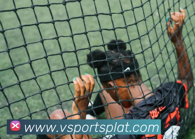 vsports体育服务体系